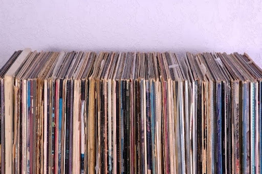 Vinyl records stored upright on a shelf.