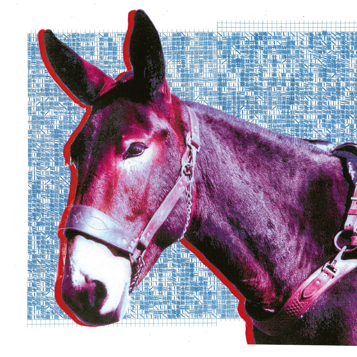 Protomartyr - Ultimate Success Today (Indie Exclusive Blue Vinyl) Vinyl > LP Domino NEW NEW