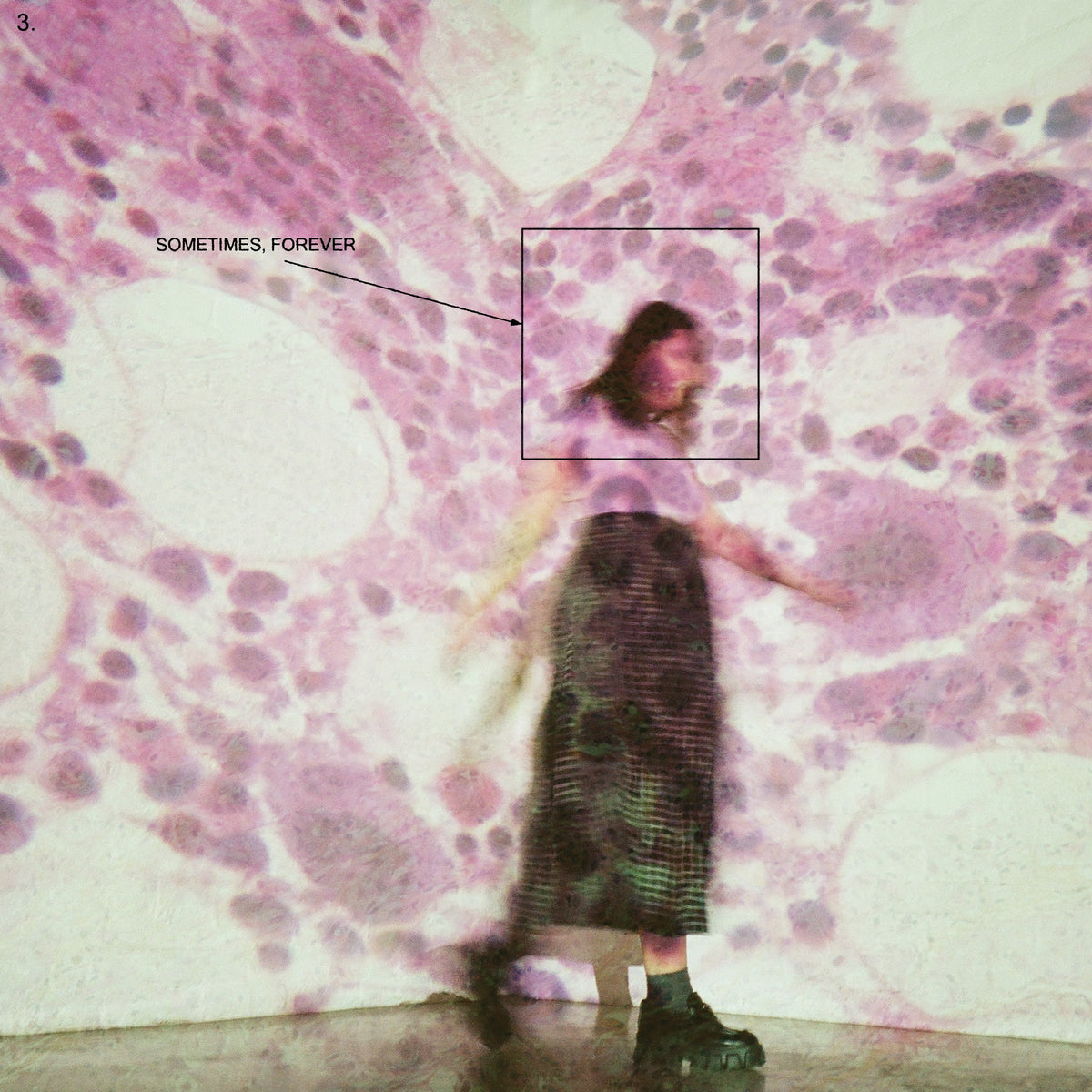 Soccer Mommy - Sometimes, Forever (Black Vinyl) Vinyl > LP Loma Vista