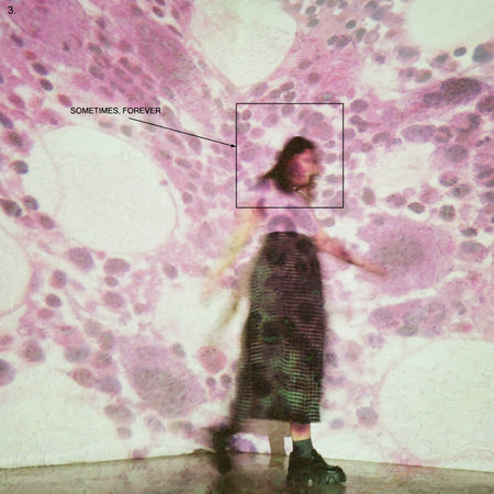Soccer Mommy - Sometimes, Forever (Black Vinyl) Vinyl > LP Loma Vista