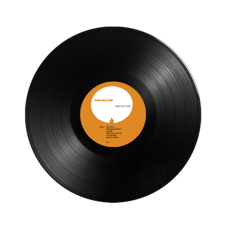 Death Cab for Cutie - I Built You A Tower (Black Vinyl) Vinyl > LP Anti