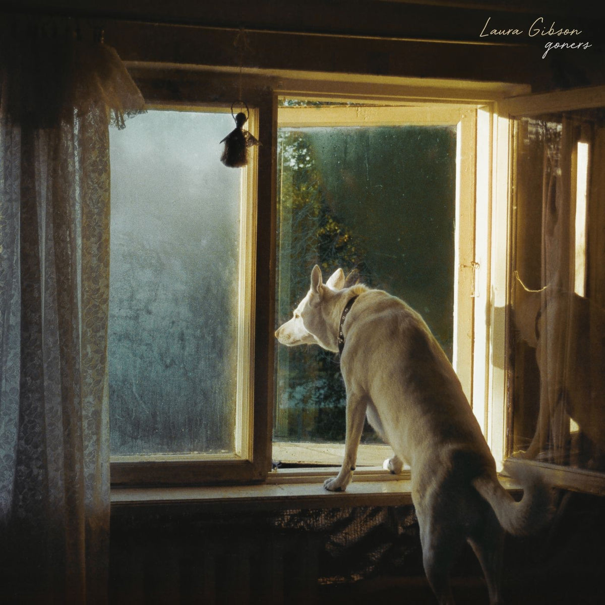 Laura Gibson - Goners (Smoky Blue Vinyl) Vinyl > LP Barsuk Records NEW NEW