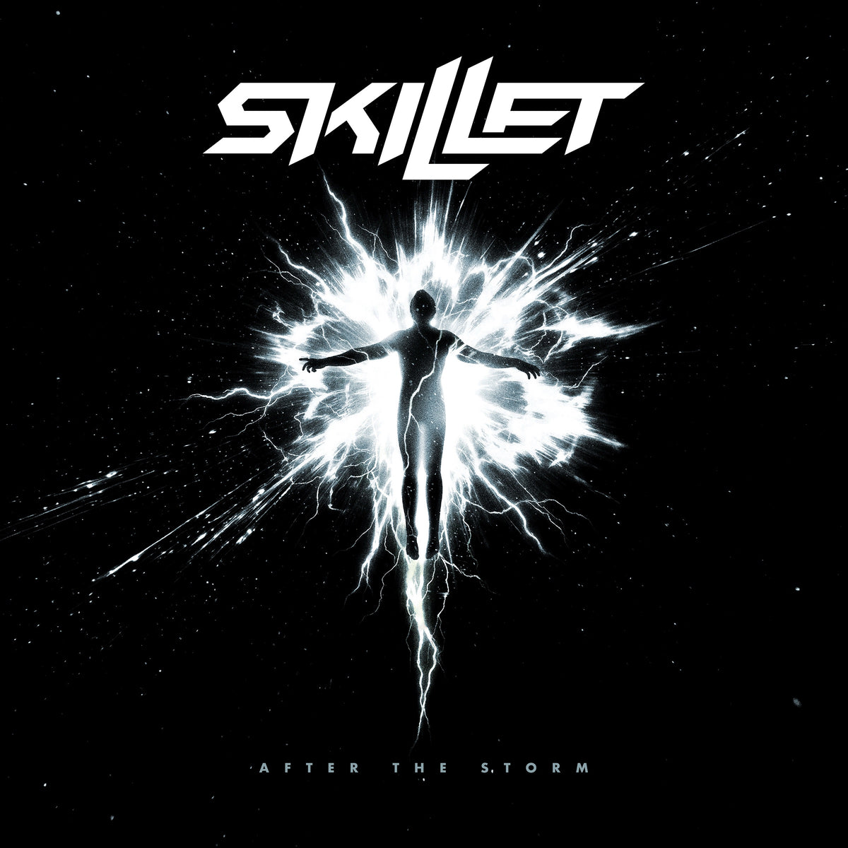 Skillet - After The Storm (Black Vinyl) Vinyl > LP Hear It Loud