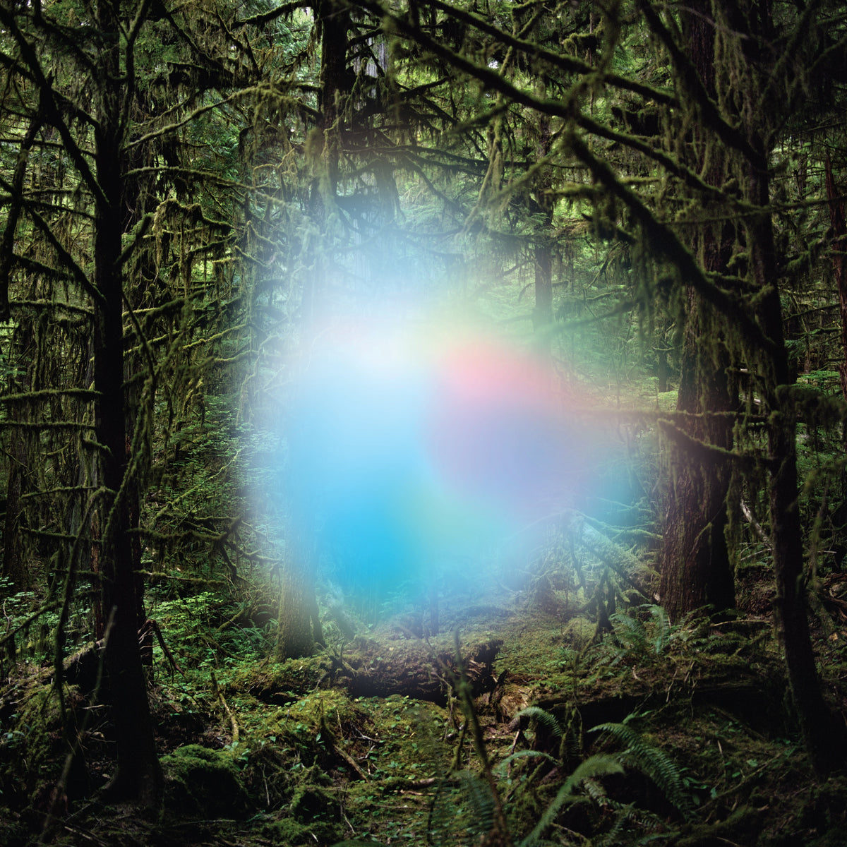 Ghosts of the Forest - Ghosts of the Forest (Clear & Pink Vinyl) Vinyl > LP Rubber Jungle Records