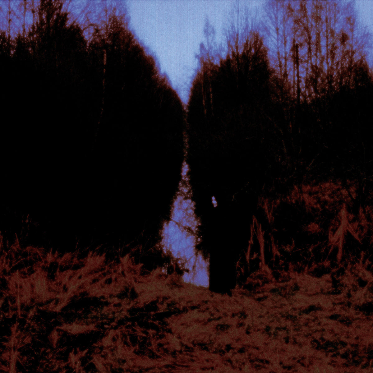Opeth - My Arms, Your Hearse (Transparent Blue Vinyl)