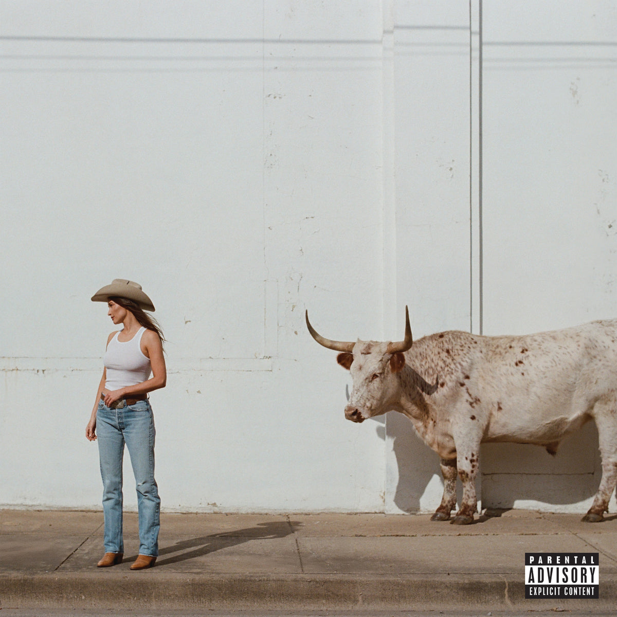 Kacey Musgraves - Middle of Nowhere (Whiskey Vinyl)
