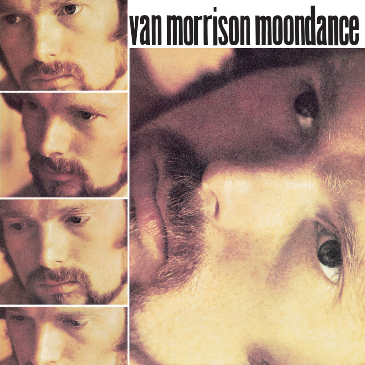 Van Morrison - Moondance (Vinyl) Vinyl > LP Rhino