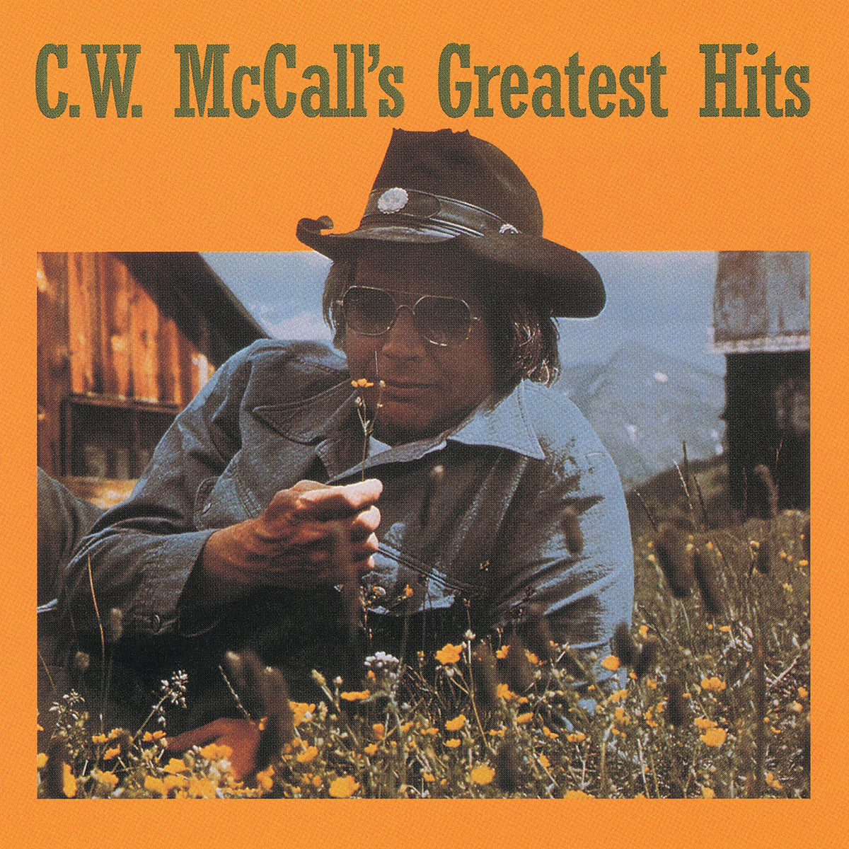 C.W. McCall - Greatest Hits (CD) CD Polydor NEW NEW