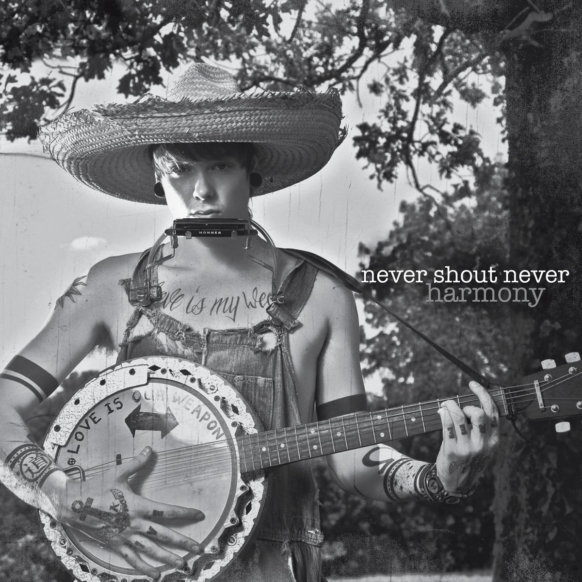 Never Shout Never - Harmony (Rocktober 2026 Vinyl)