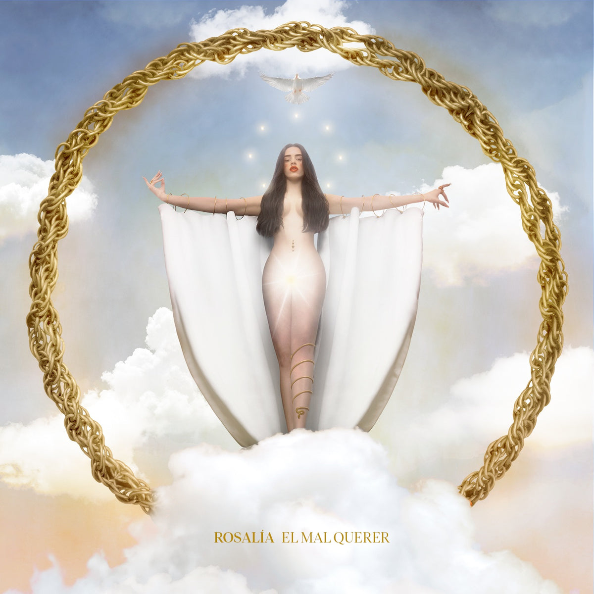 Rosalía - El Mal Querer (Vinyl) Vinyl > LP Columbia