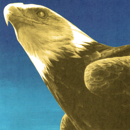 Protomartyr - Hotel Usona (Vinyl) Vinyl > LP Domino