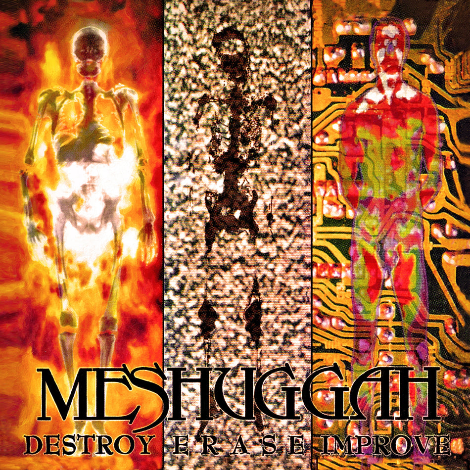 Meshuggah - Destroy Erase Improve (Gray, Black & White Marble 30th Anniversary Vinyl) Vinyl > LP Reigning Phoenix Mus