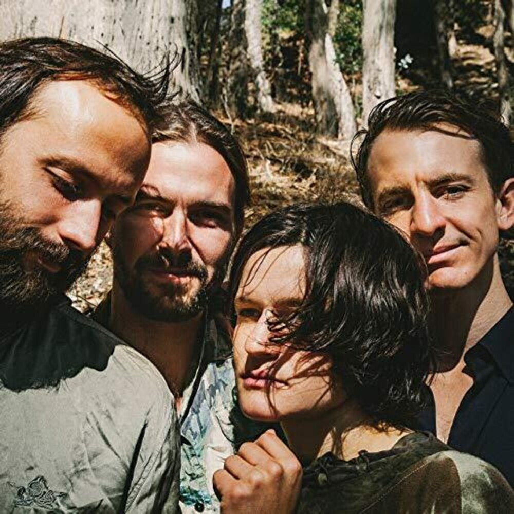 Big Thief - Two Hands (Black Vinyl) Vinyl > LP 4AD