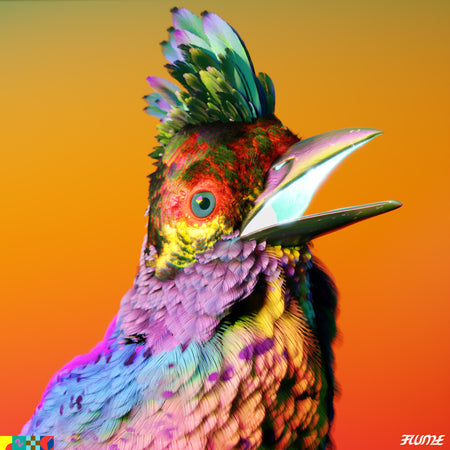 Flume - Palaces (Black Vinyl)