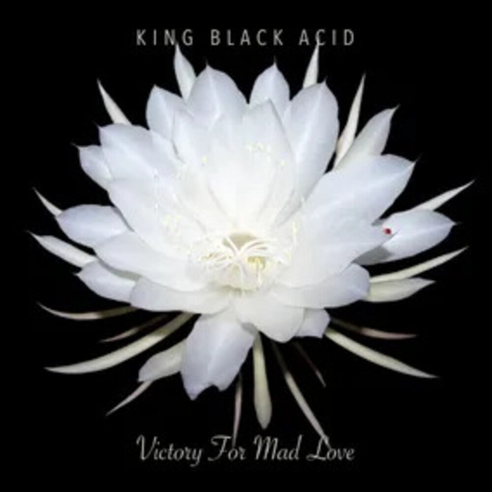 King Black Acid - Victory For Mad Love (Black Vinyl) Vinyl > LP Cavity Search Records NEW NEW