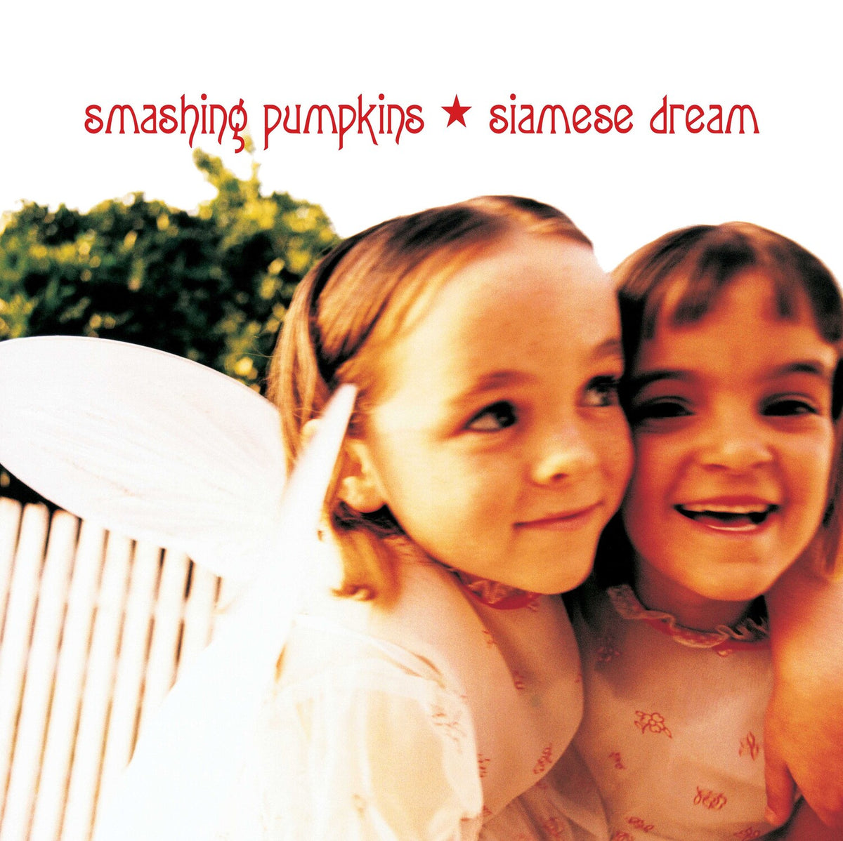 The Smashing Pumpkins - Siamese Dream (Black Vinyl)