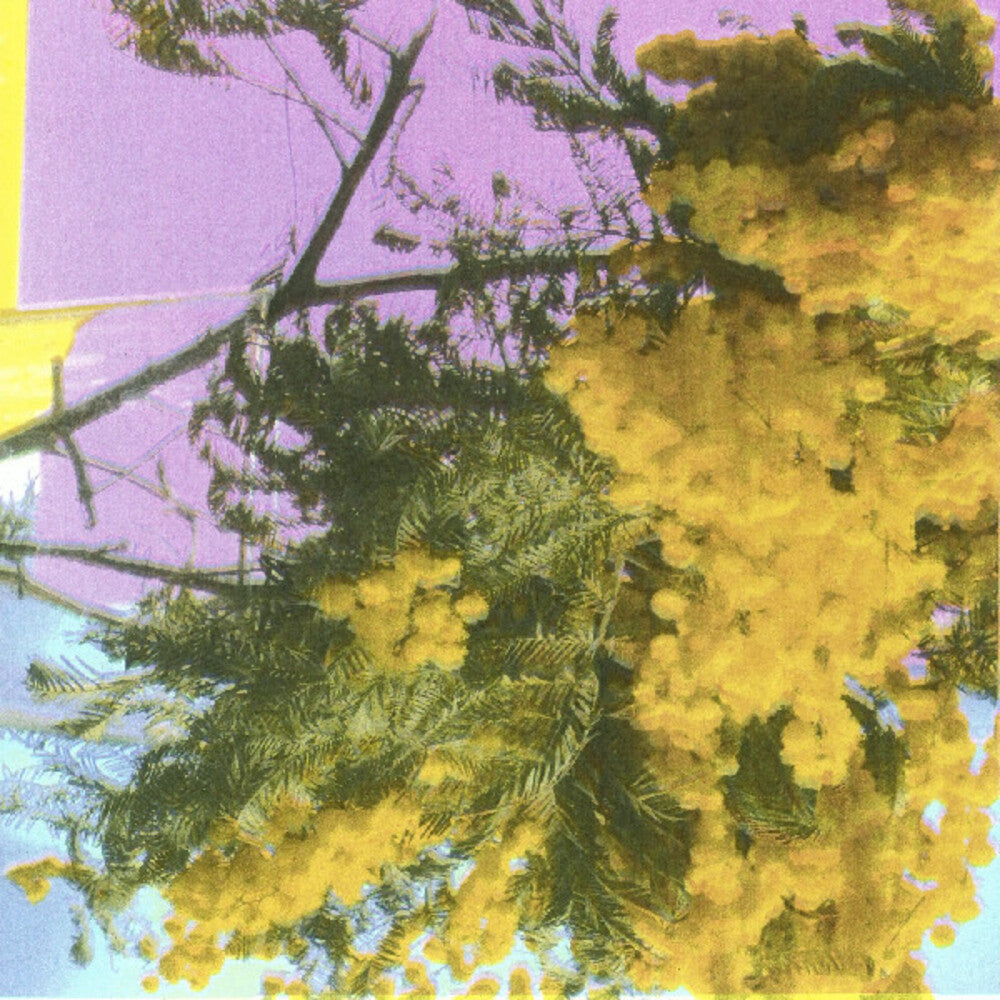 Four Tet - Into Dust (Still Falling) (Indie Exclusive Vinyl)