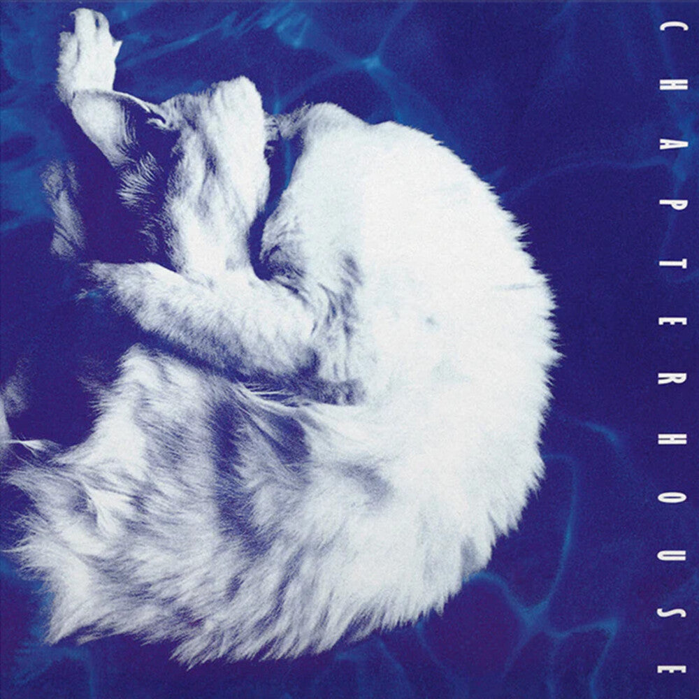 Chapterhouse - Whirlpool (White & Black Marble Vinyl)