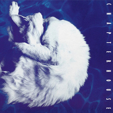 Chapterhouse - Whirlpool (White & Black Marble Vinyl)