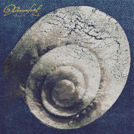 Snail Mail - Ricochet (Black Vinyl) Vinyl > LP Matador Records