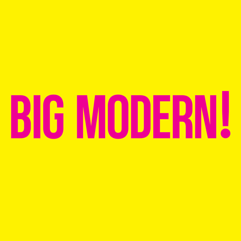 [PREORDER] The Goose - Big Modern! Preorder No Coincidence 2026 / US / 2LP / No Coincidence NEW NEW