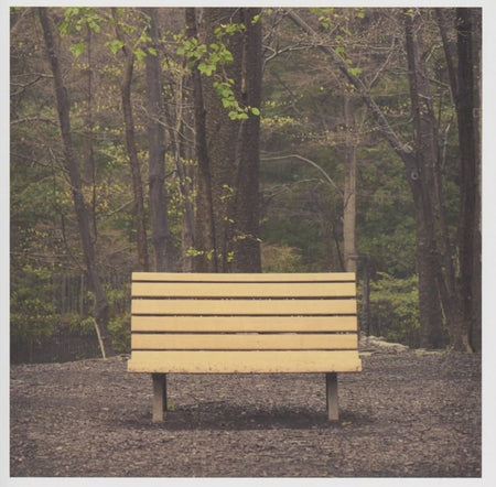 [PREORDER] Streetlight Manifesto - The Hands That Thieve Preorder Pentimento Music Co.