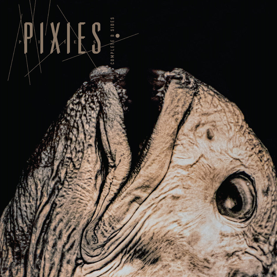 [PREORDER] Pixies - Complete B Sides: 1988-97 Preorder 4AD 2026 / 2LP Vinyl / 4AD NEW NEW
