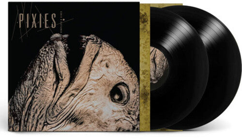Pixies –  Complete B Sides: 1988-97 – Release:0ea30c92-d3d7-4a11-a650-68354fb68492 (cover)