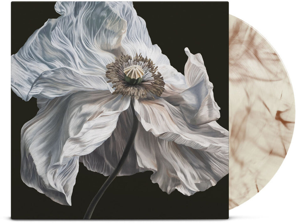 Quicksand - Bring On The Psychics (Indie Exclusive Coffee Swirl Vinyl) Vinyl > LP Equal Vision Records NEW NEW