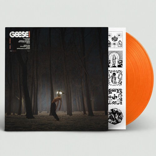 Geese (11) – Projector – Release:2e9de2b4-8832-4936-b710-b386db1f6038 (cover)