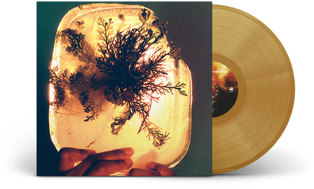 [PREORDER] L'Rain - Fata Morgana Preorder Mexican Summer 2026 / US / LP Indie Exclusive Colored Vinyl / Mexican Summer NEW NEW