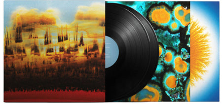 Bonobo - Distance in Static (Black Vinyl) Vinyl Ninja Tune