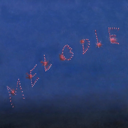 Slow Pulp - Melodie (CD) CD Anti