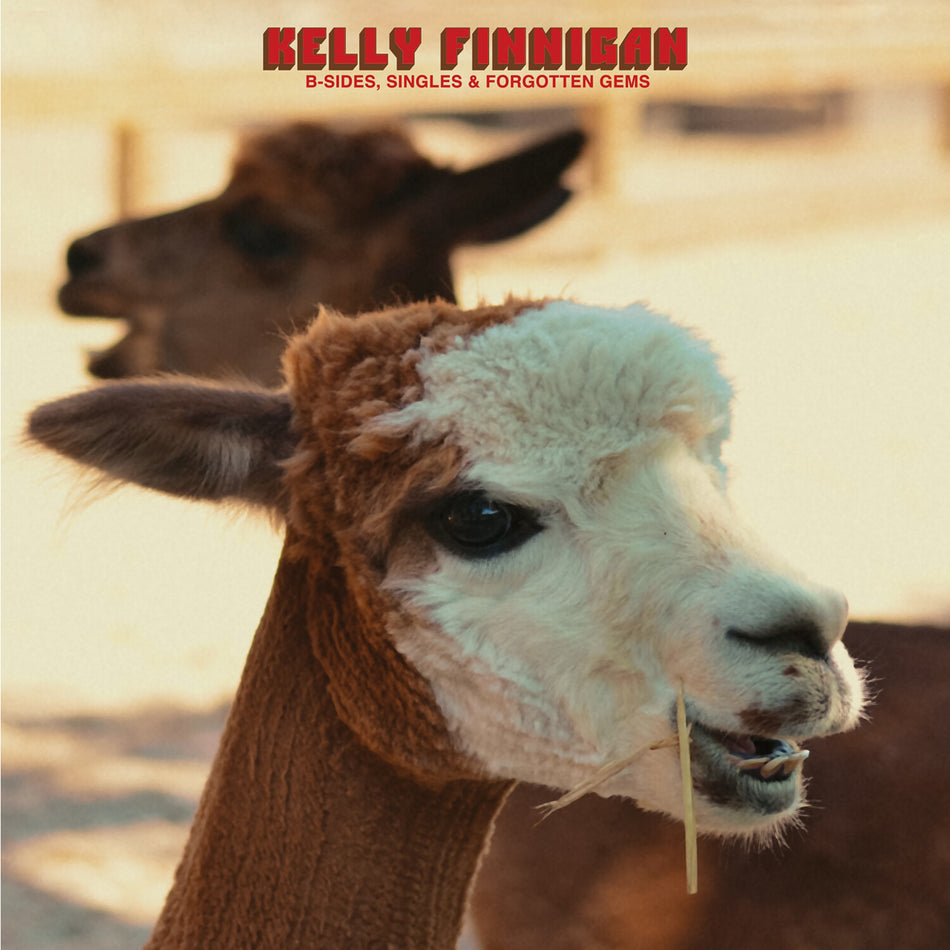 Kelly Finnigan Red Vinyl LP