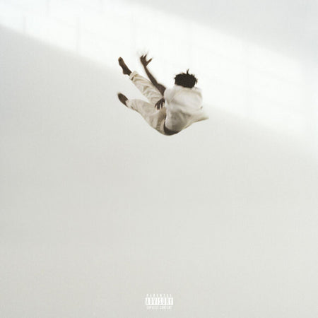 Daniel Caesar - Pilgrim's Paradise (Transparent White & Black Marble Vinyl)
