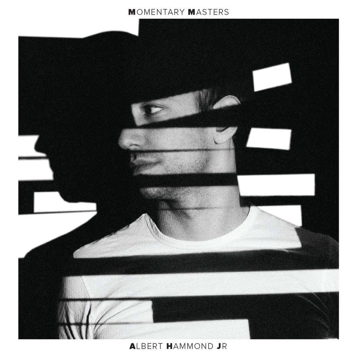 Albert Hammond Jr. - Momentary Masters (Vinyl) Vinyl > LP Vagrant Records NEW NEW