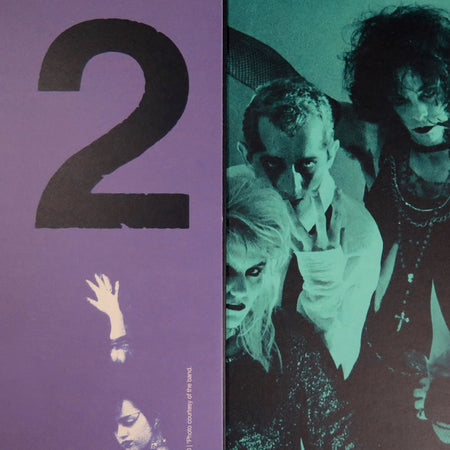 Various Artists - American Grave: Gothic Punk / Deathrock USA 1978-1988 (Splintered Tomb Vinyl) Vinyl > LP Futurismo