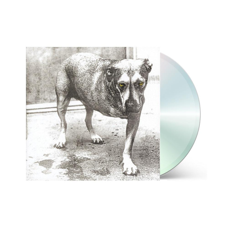 Alice In Chains - Alice in Chains (CD) CD Columbia NEW NEW