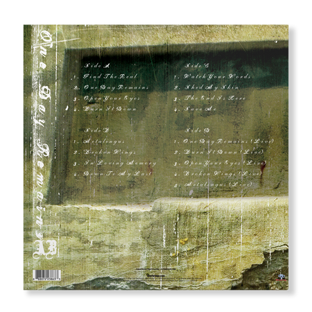 Alter Bridge - One Day Remains (Limeade Vinyl)