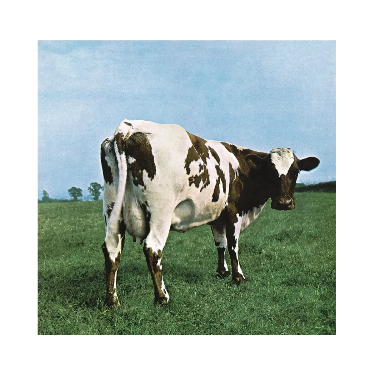 Pink Floyd - Atom Heart Mother (Vinyl)