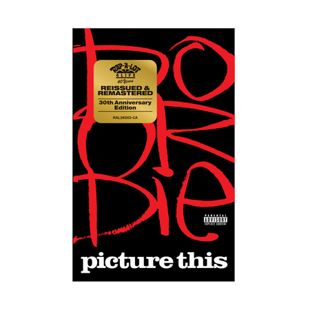 Do Or Die - Picture This (Cassette)