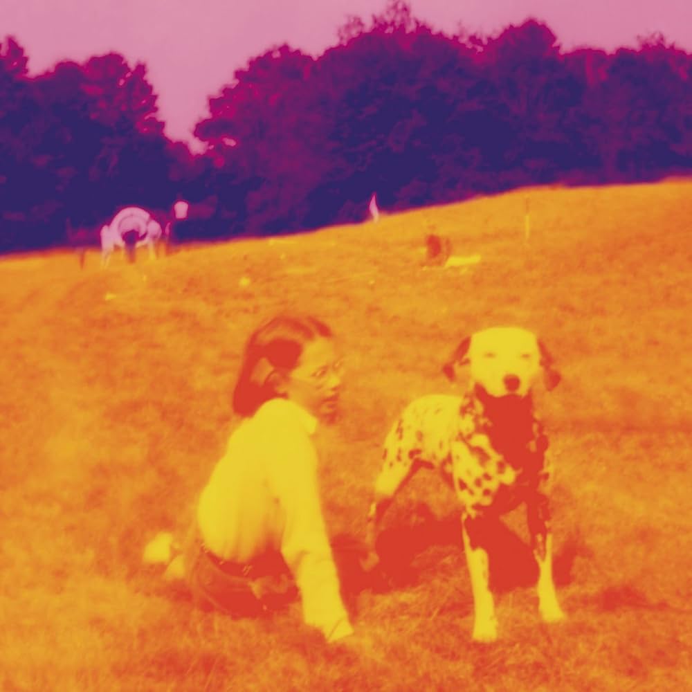 Eels - Blinking Lights And Other Revelations (Pink & Purple Galaxy Swirl Vinyl) Vinyl > LP Vagrant Records