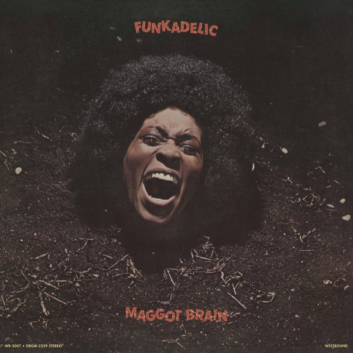 Funkadelic - Maggot Brain (Black Vinyl)