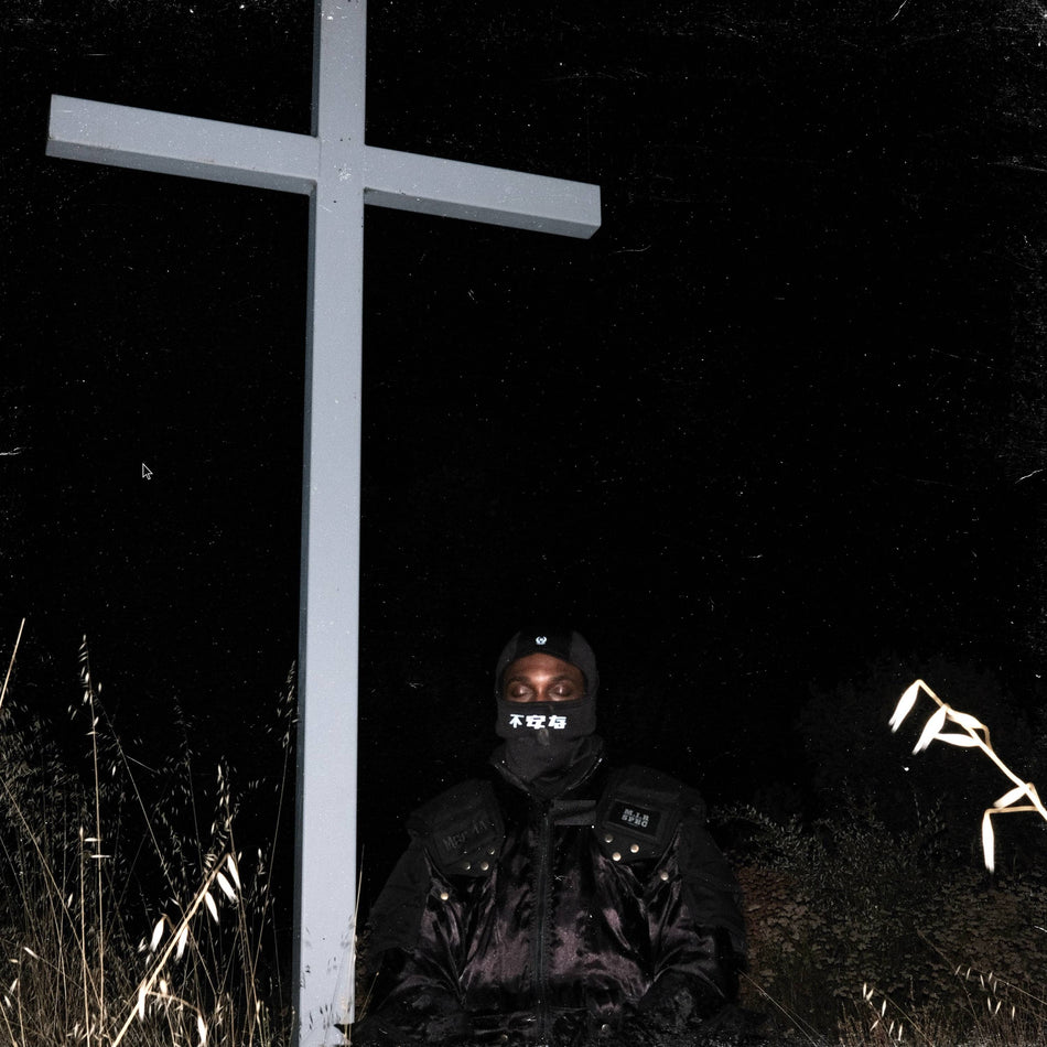 JPEGMAFIA - I Lay Down My Life For You (Indie Exclusive Graphite Vinyl) Vinyl > LP Peggy NEW NEW