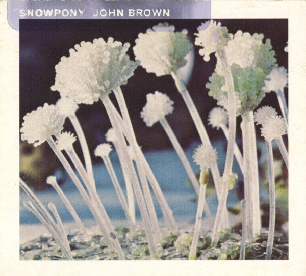 Snowpony – John Brown – Release:9f6cfa87-83b6-4c20-8ee0-9d4b34a1a18b (cover)