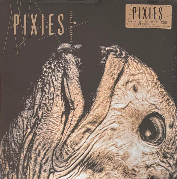 Pixies – Complete B Sides – Release:23ff3eee-a85e-4993-9d76-e8ebf95aae83 (cover)