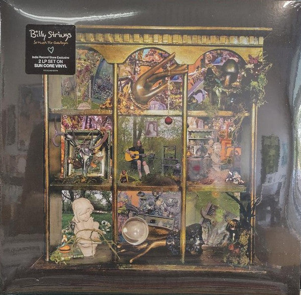 Billy Strings – So Much For Goodbyes – Release:8a44b908-101f-4df2-a93a-2f880cd2c300 (cover)