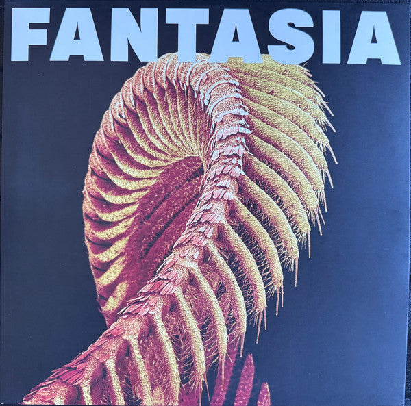 Slift – Fantasia – Release:48f904ed-baa7-4c09-a8f8-7bb4276b6608 (cover)
