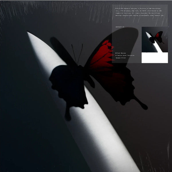 Post Malone – Twelve Carat Toothache – Release:80628d71-0124-4982-b9a1-12862c7f2aa5 (cover)