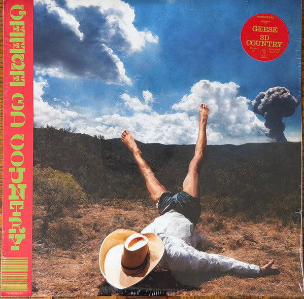 Geese (11) – 3D Country  – Release:1bd2d209-eb41-488e-a79f-70f1bf0332c2 (cover)